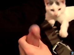 Cute alms-man plays less his kitten together with jerks off